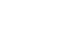 NAVIS