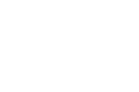 Traveler Guitar