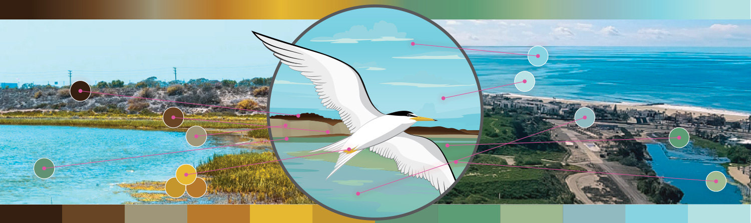 Coastal Corridor Alliance color palette development