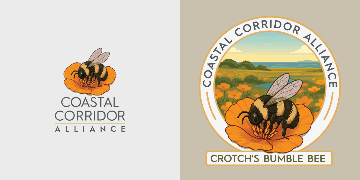 Coastal Corridor Alliance Crotch's bumble bee artwork