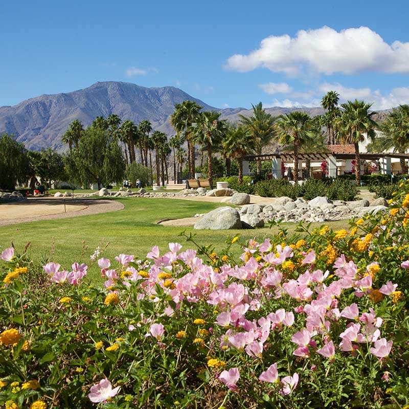 PGA West desert landscape and golf photography